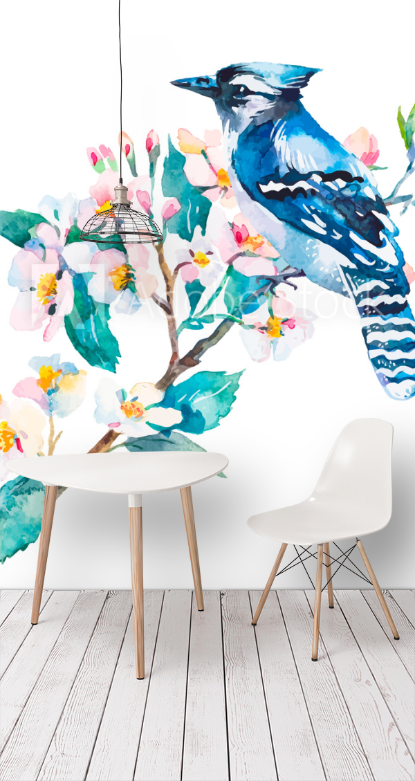 Picture of Blue jay isolated on a white background Spring flowersWatercolor